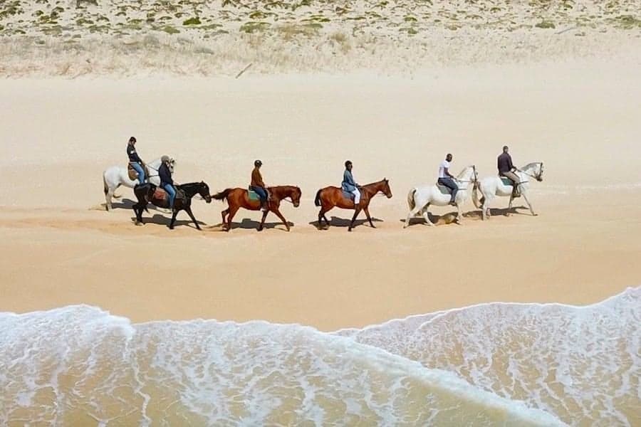 Passeios a Cavalo